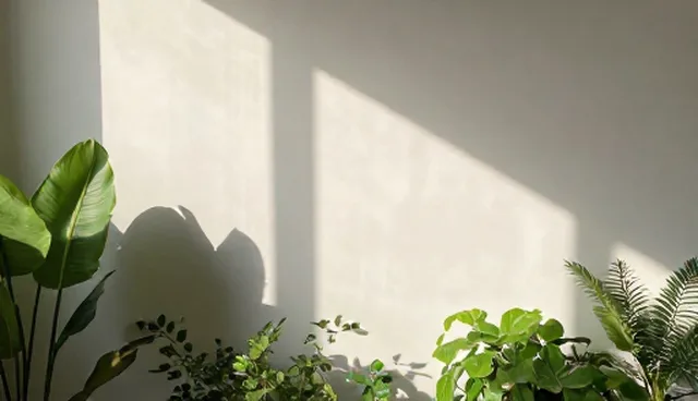 视频剪辑与后期制作中的选型关注点误区澄清